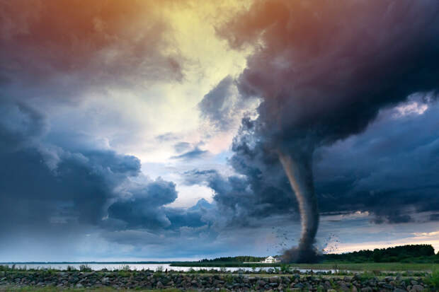 Фото: LeStudio/Shutterstock/Fotodom