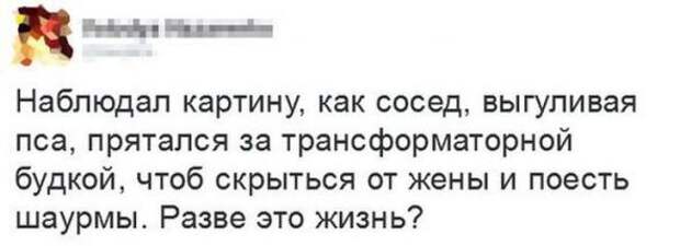 Картинки, юмор, приколы