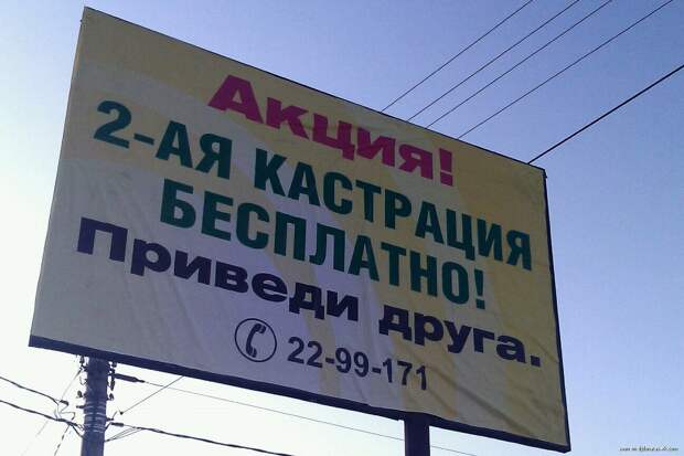 Очередная порция приколов прикол, фото, шутка, юмор