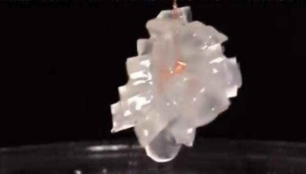 Выращиваем кристалл с помощью микроволновки