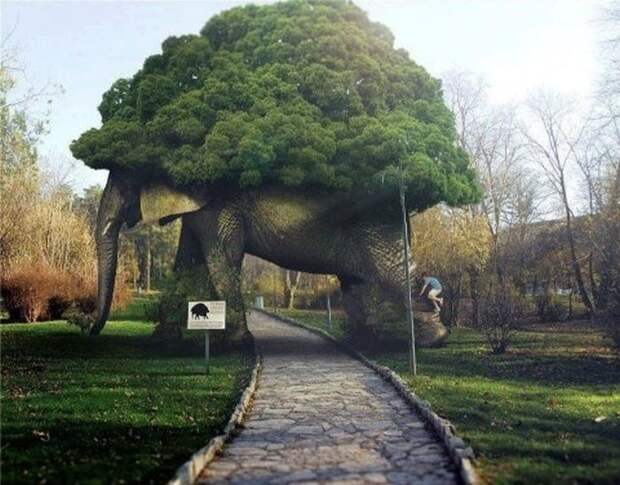 Фотоприколы кучей