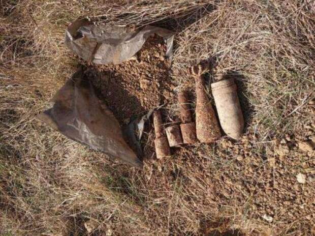 В Тульской области обнаружили боеприпасы времен ВОВ