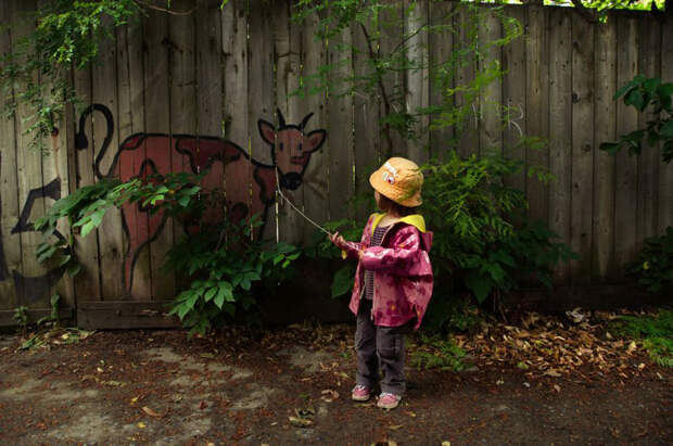funny-street-art-cow-fence-girl