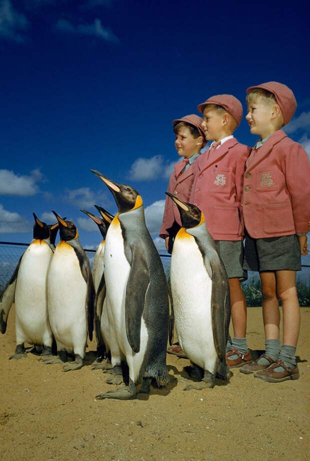 25 неопубликованных фотографий из архивов National Geographic