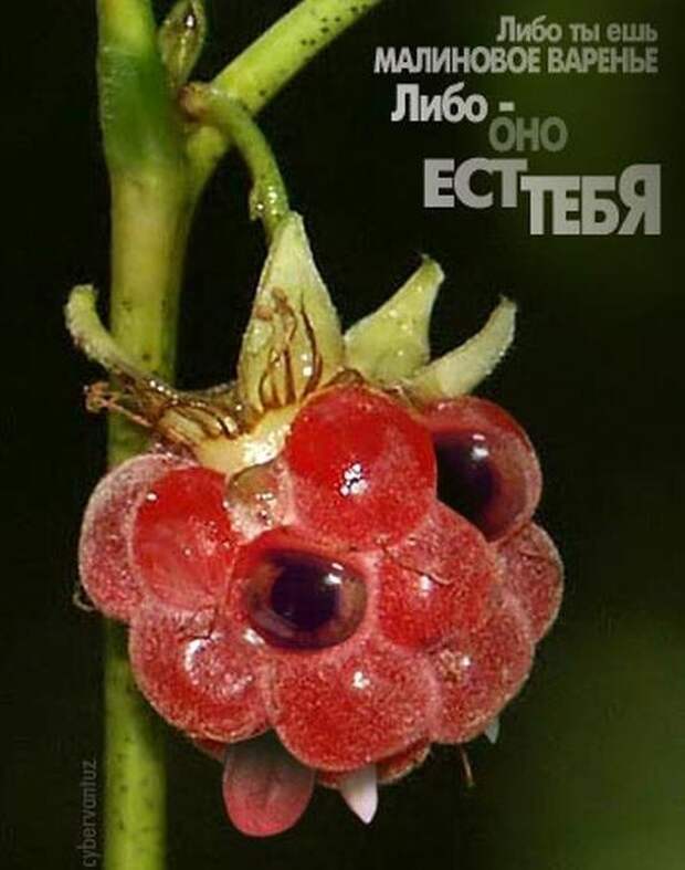 Коллекция позитивных картинок
