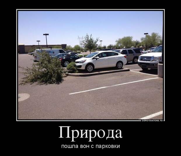 Демотиваторы  демотиваторы, прикол, смех, юмор