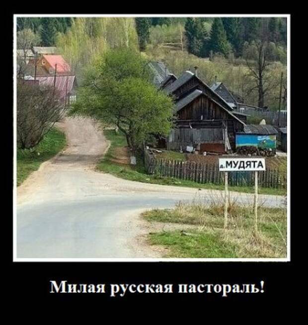 Мои демотиваторы, оцените творчество.