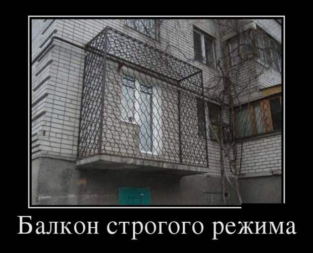 Демотиваторы (30 фото)