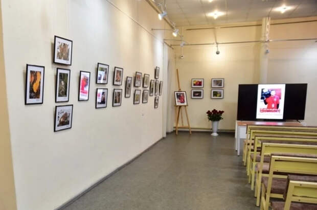 В ДНР открыли фотовыставку героя СВО Смольникова