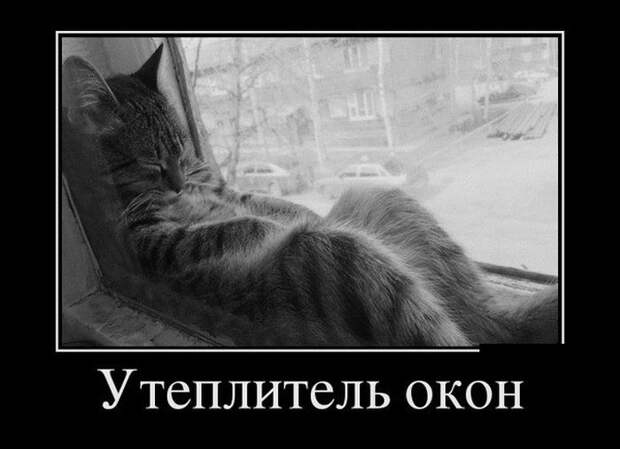 Утеплитель окон демотиваторы, картинки, юмор