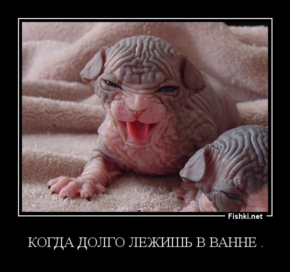 Демотиваторы демотиваторы, картинки, приколы