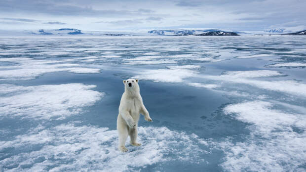 Академик Клименко: резкие изменения стали постоянным атрибутом современного климата