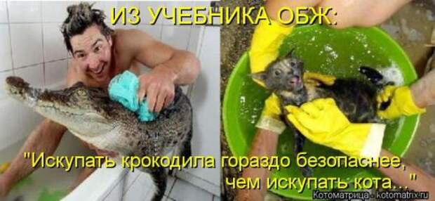 Котоматрицы (картинки с надписями)