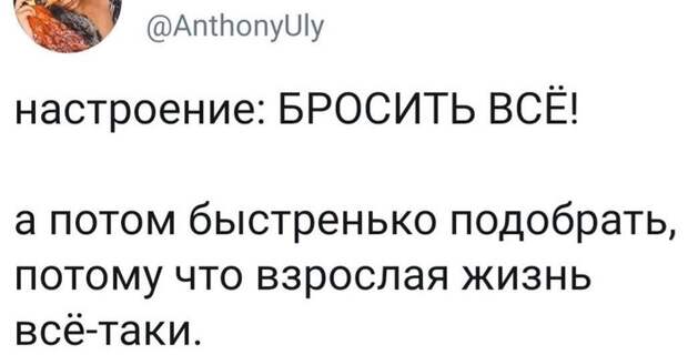 Взрослая жизнь Взрослая жизнь