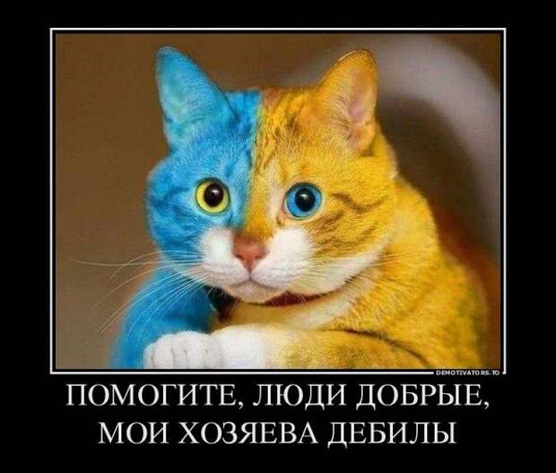 Новости: ...Видела, за Россию в Крыму проголосовало 30%...