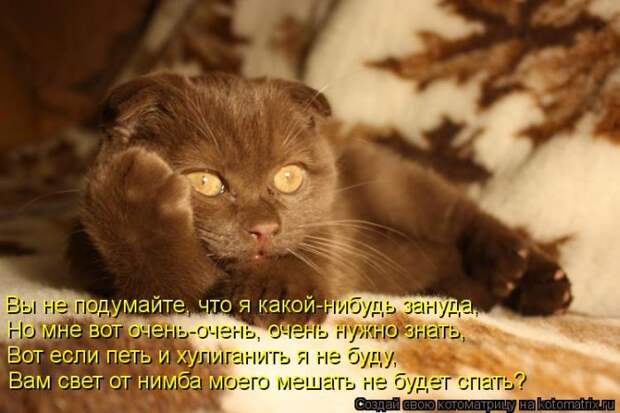 Лучшие котоматрицы недели (50 фото) Лучшие котоматрицы недели (50 фото)