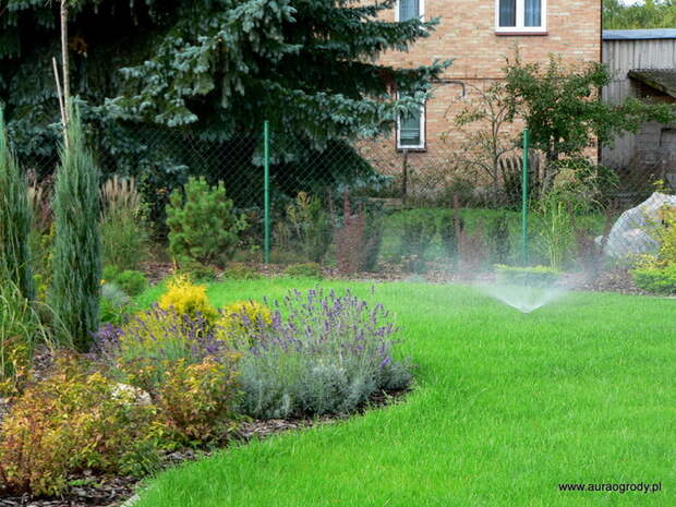 P1220384 (700x525, 232Kb)