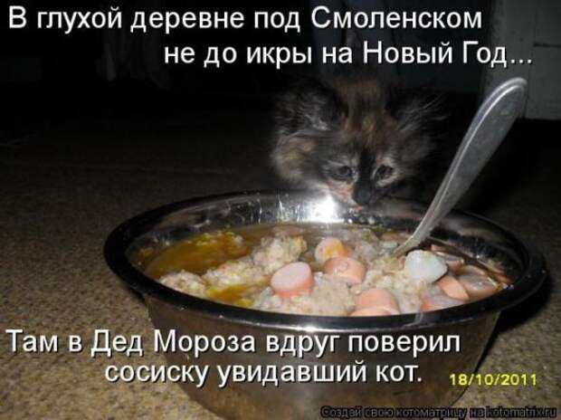 Котоматрицы (картинки с надписями)
