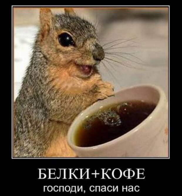 Демотиваторов весело, много, и самые прикольные!