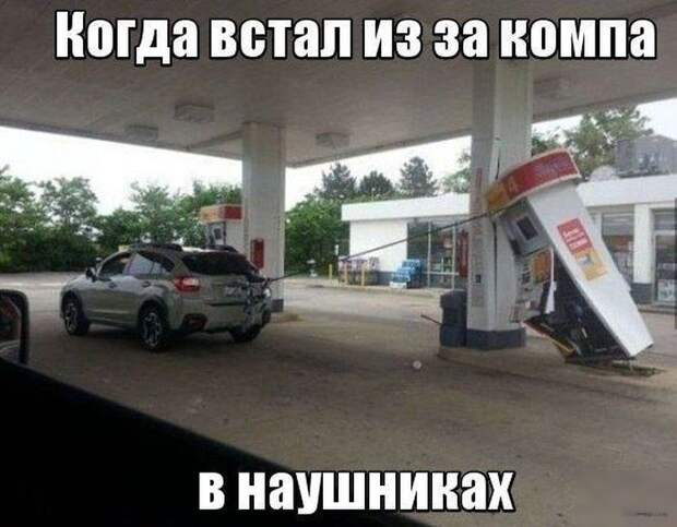 Смешные картинки с подписями катинки, прикол, юмор