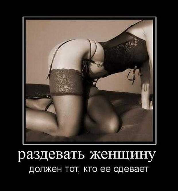 Демотиваторы (30 фото)
