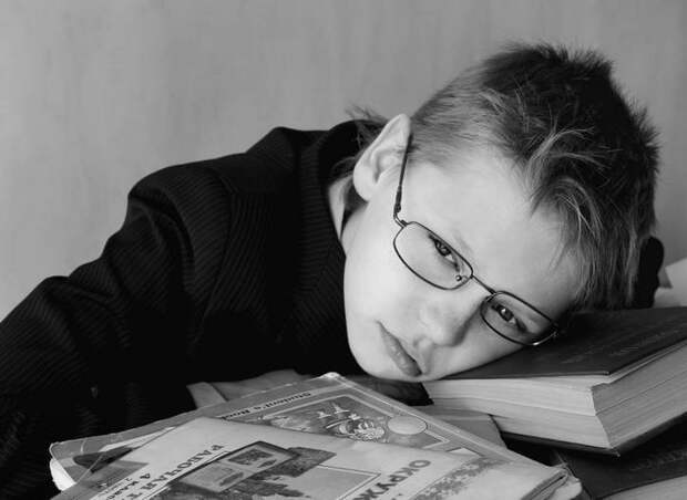 Мы продолжаем учить детей так, словно нет интернета и социальных сетей