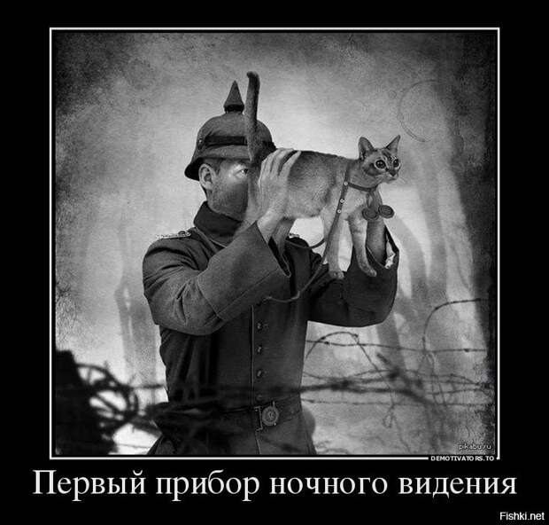 Подборка демотиваторов демотиваторы, прикол, юмор