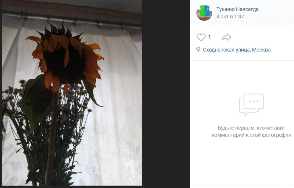 Свежие цветы из магазина на Сходненской можно вернуть при определённых условиях