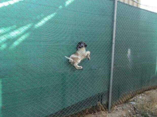 logic-defying-photos-18