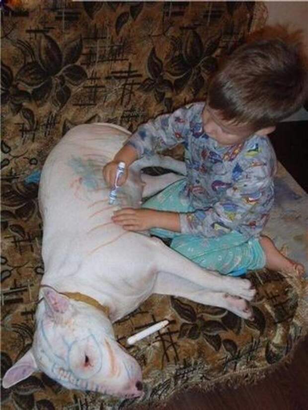 детские шалости 