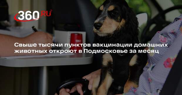 Свыше тысячи пунктов вакцинации домашних животных откроют в Подмосковье за месяц