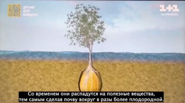 На Украине предложили мёртвыми ВСУшниками удобрять поля