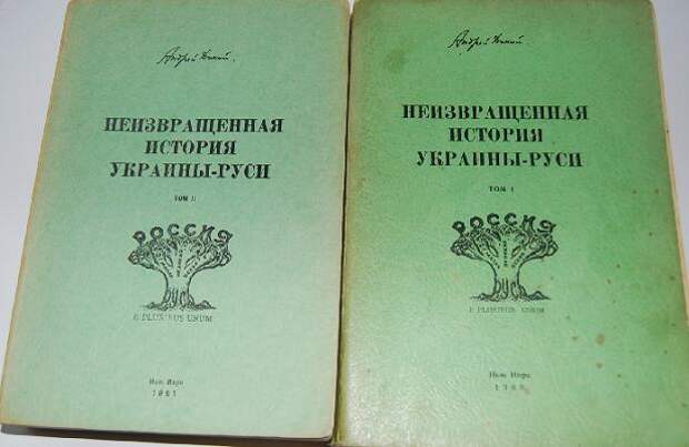 Украинская история. Андрей дикий Занкевич. Неизвращенная история Украины-Руси. Неизвращенная история Украины - Руси книга. Украина-Русь в учебниках.