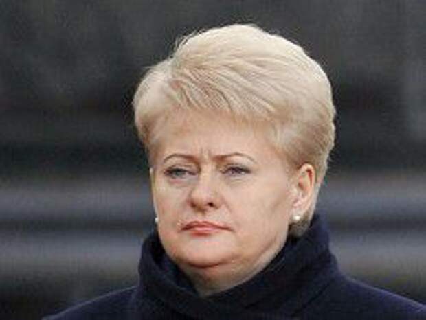 Новость на Newsland: Литва может ввести санкции в отношении граждан РФ