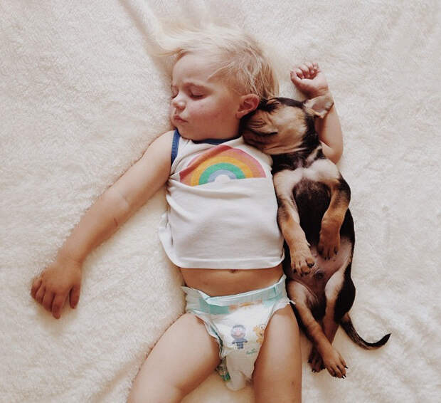 Спящий дуэт  дружба, ребенок, собака
