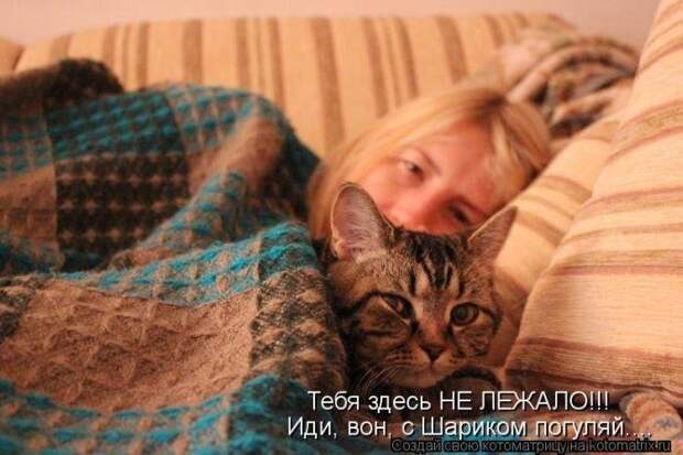 Прикольные котоматрицы Прикольные котоматрицы