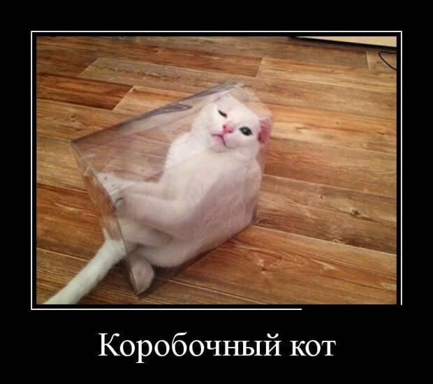 demotiv_005.jpg demotiv_005.jpg