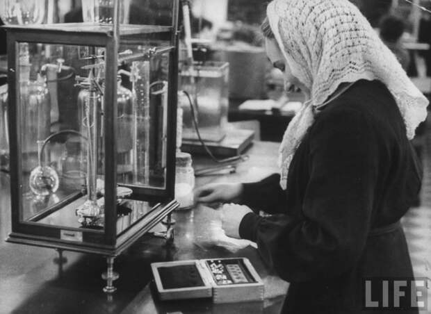Московский государственный университет  в 1956 году