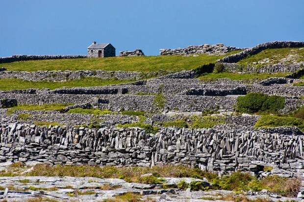 Каменные стены Ирландии Каменные стены Ирландии ирландия, стены