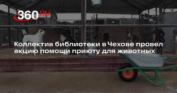 Коллектив библиотеки в Чехове провел акцию помощи приюту для животных