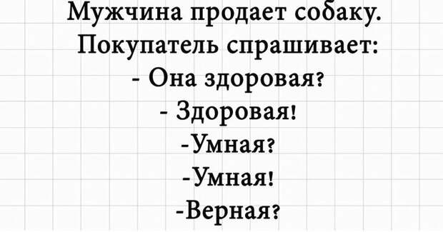 Злободневный весёлый юмор