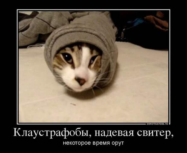 Демотиваторы  демотиваторы, прикол, смех, юмор