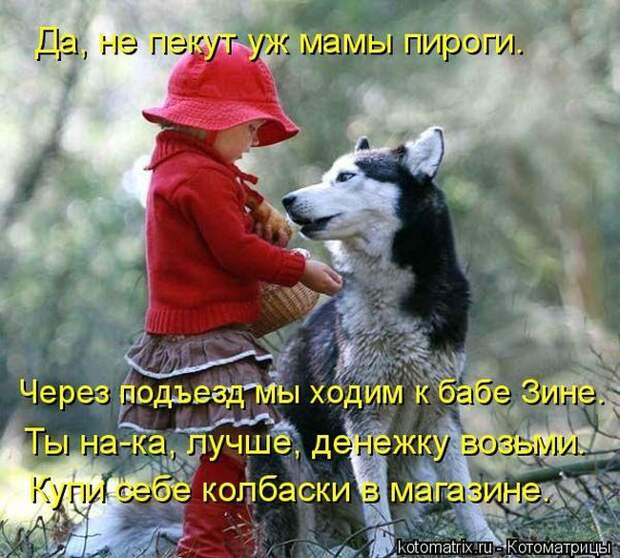 Лучшие котоматрицы недели