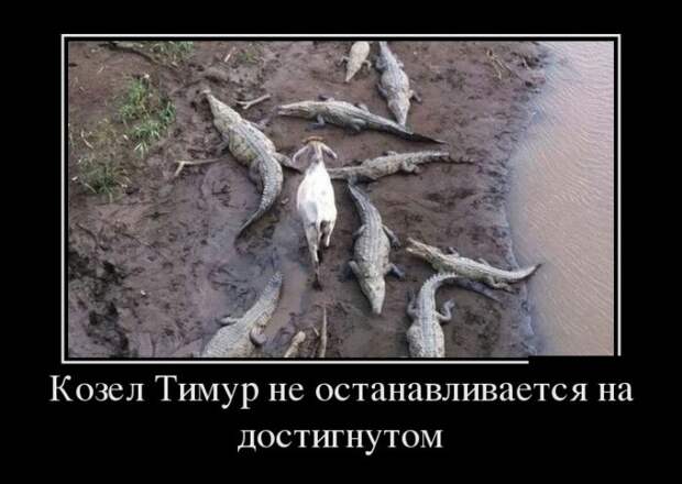 Демотиваторы Демотиваторы