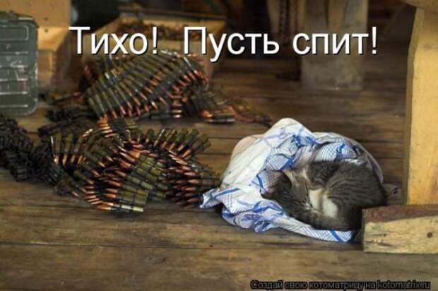 Котоматрицы (картинки с надписями)