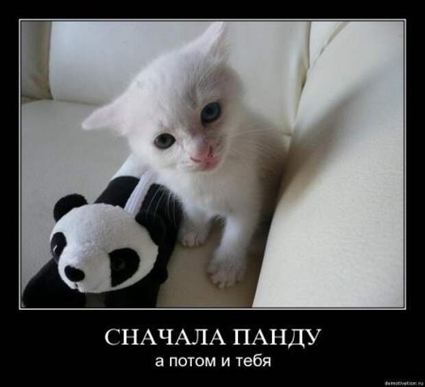 Картинки с надписями классная подборка демотиваторов.