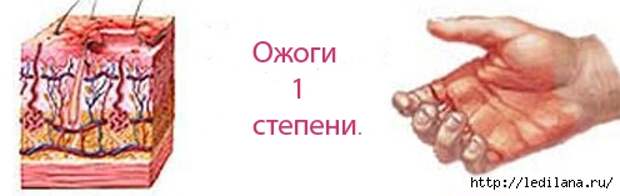 3925311_Stepeni_ojogov_1 (496x157, 51Kb)