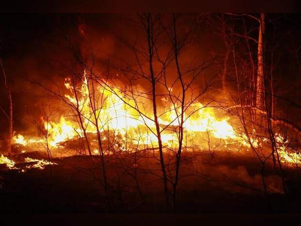 Чрезвычайная пожарная опасность прогнозируется в Забайкалье