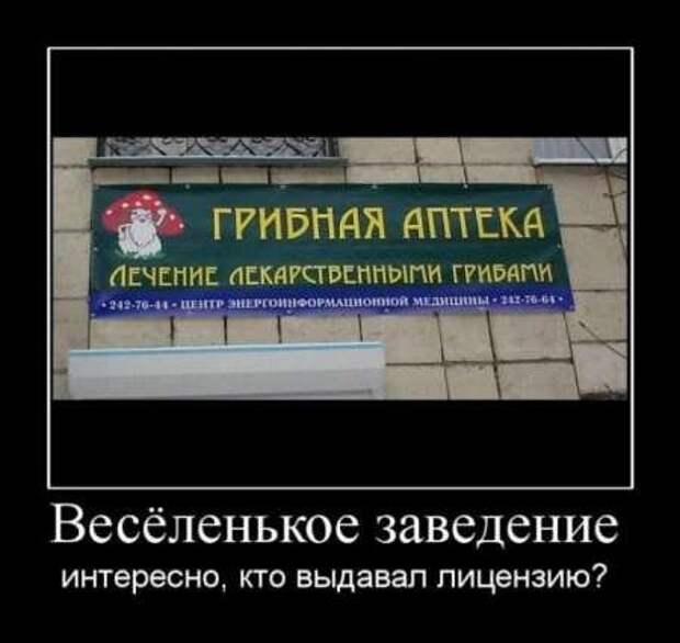Фотографии с прикольными подписями, новые демотиваторы.
