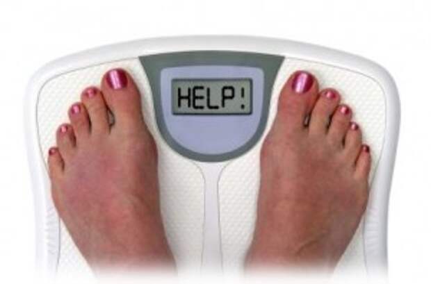 Смешные фотографии про лишний вес.